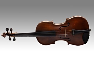 Ladislav F. Prokop (1843 - 1919) - 4/4 housle