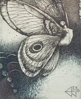 James Janíček (1935–2021) - Okřídlená víla