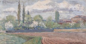 Franta Volf (1897–1983) - Kvetoucí zahrada