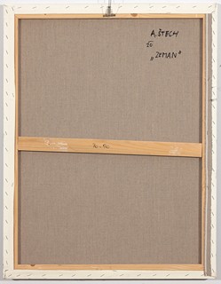Adam Štech (1980) - Zeman