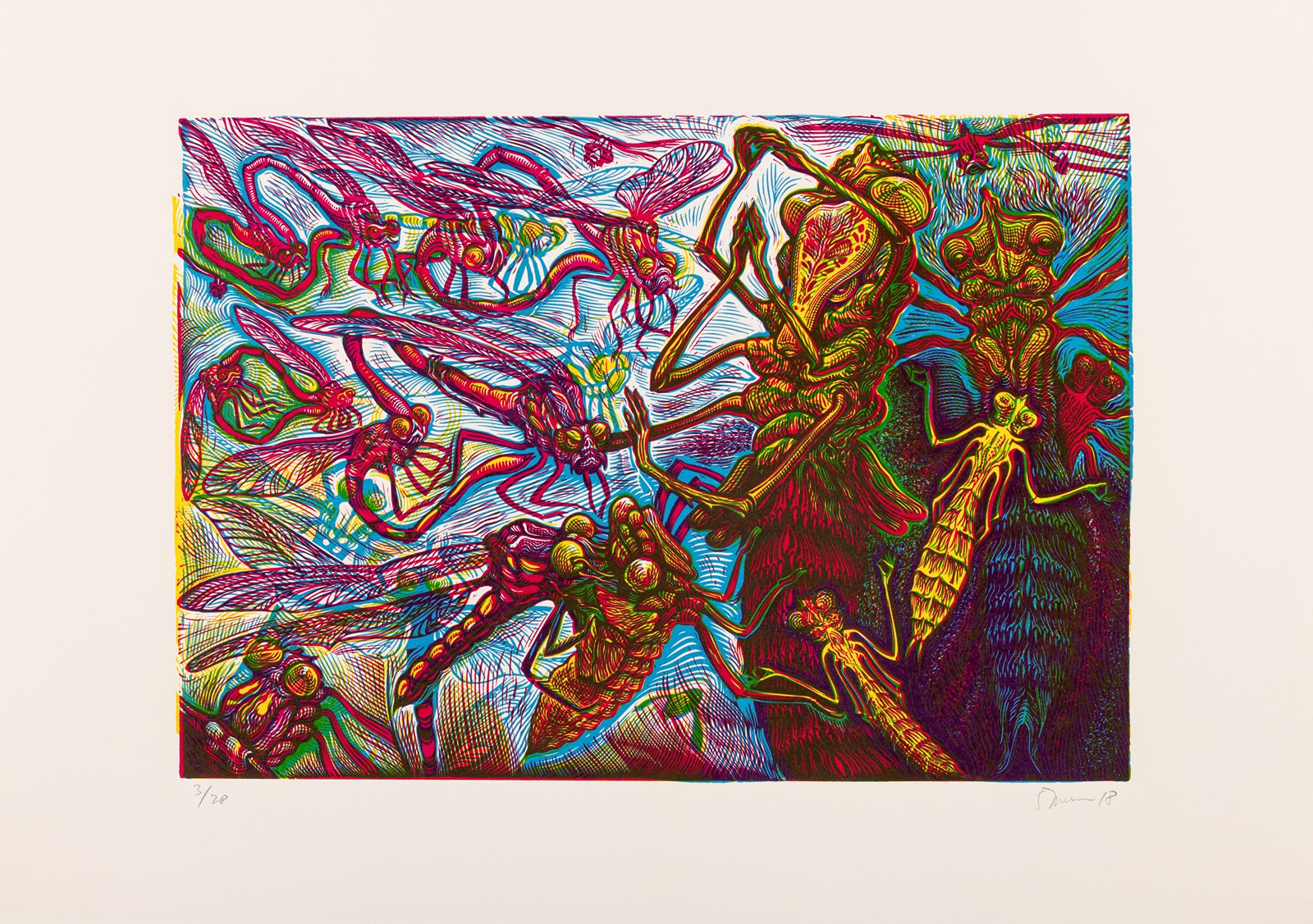František Štorm (1966) - Vážky