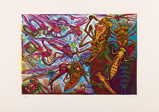 František Štorm (1966) - Vážky