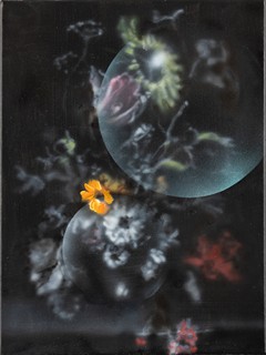 Filip Černý (1975) - Noflower