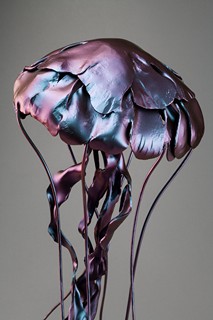 Nikola Mojsl - Medúza