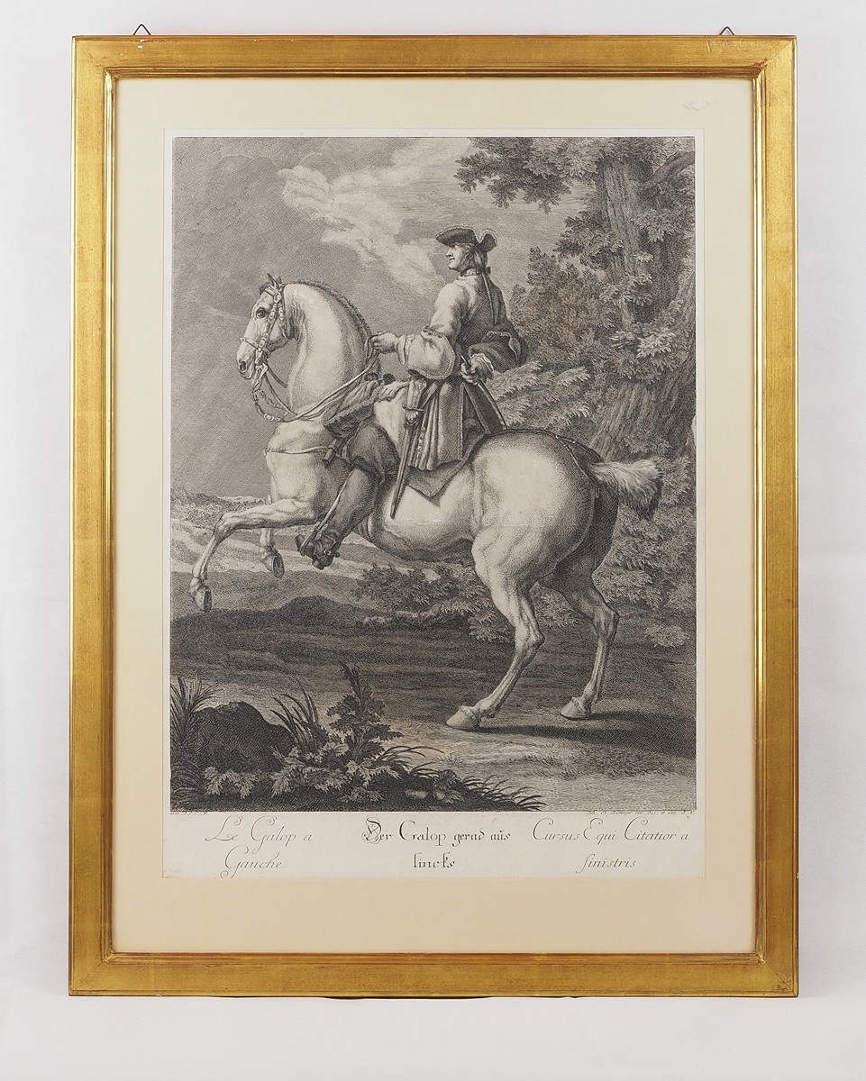 Johannes El. Ridinger (1698 – 1767) - Der Galop gerad aus lincks