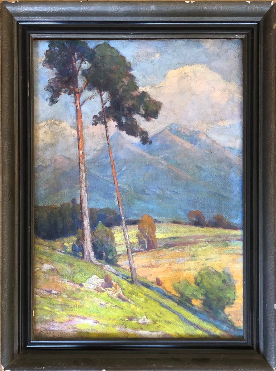 Kloc Peregrin Jaroslav - Osamělá borovice
