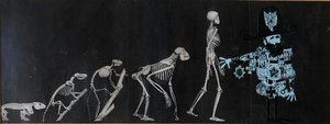 Vodenka Jiří - Evoluce