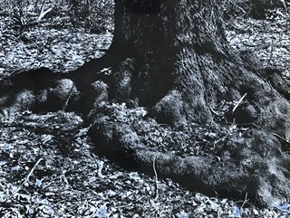 Janda Rudolf - Malé Karpaty
