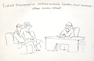 Vladimír Jiránek (1938 - 2012 ) - Intelektuální život