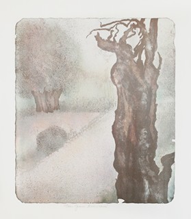 Jana Reinerová (1946) - Getsemantská zahrada (Jeruzalém)