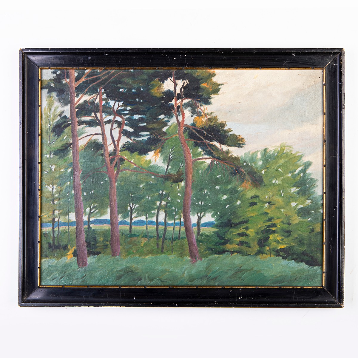 Josef Života (1894) - Les
