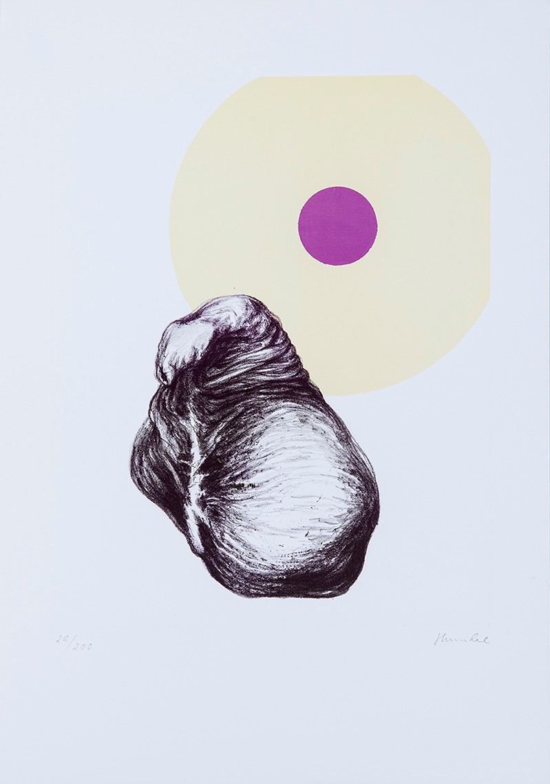 Pavel Humhal (1965) - Bez názvu