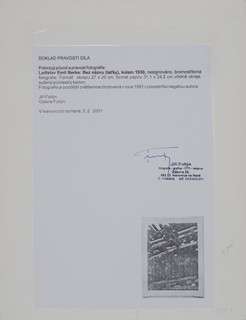 Ladislav Emil Berka (1907-1993) - Bez názvu