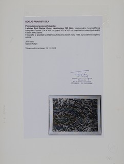 Ladislav Emil Berka (1907-1993) - Kmín