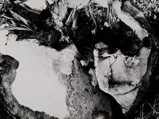 Mario Giacomelli (1925-2000)
