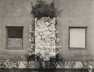 Eva Fuková (1927-2015)