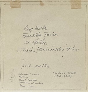 František Turek - Klauni