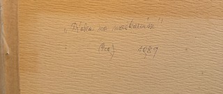 Ludmila Jiřincová - Dívka na maškarním