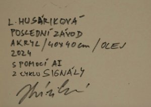 Lenka Husáriková (1975) - Poslední závod