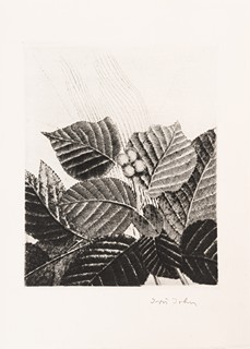 Karel Toman (1877 - 1946) - Měsíce