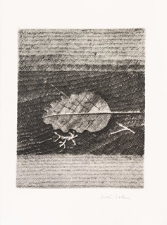 Karel Toman (1877 - 1946) - Měsíce
