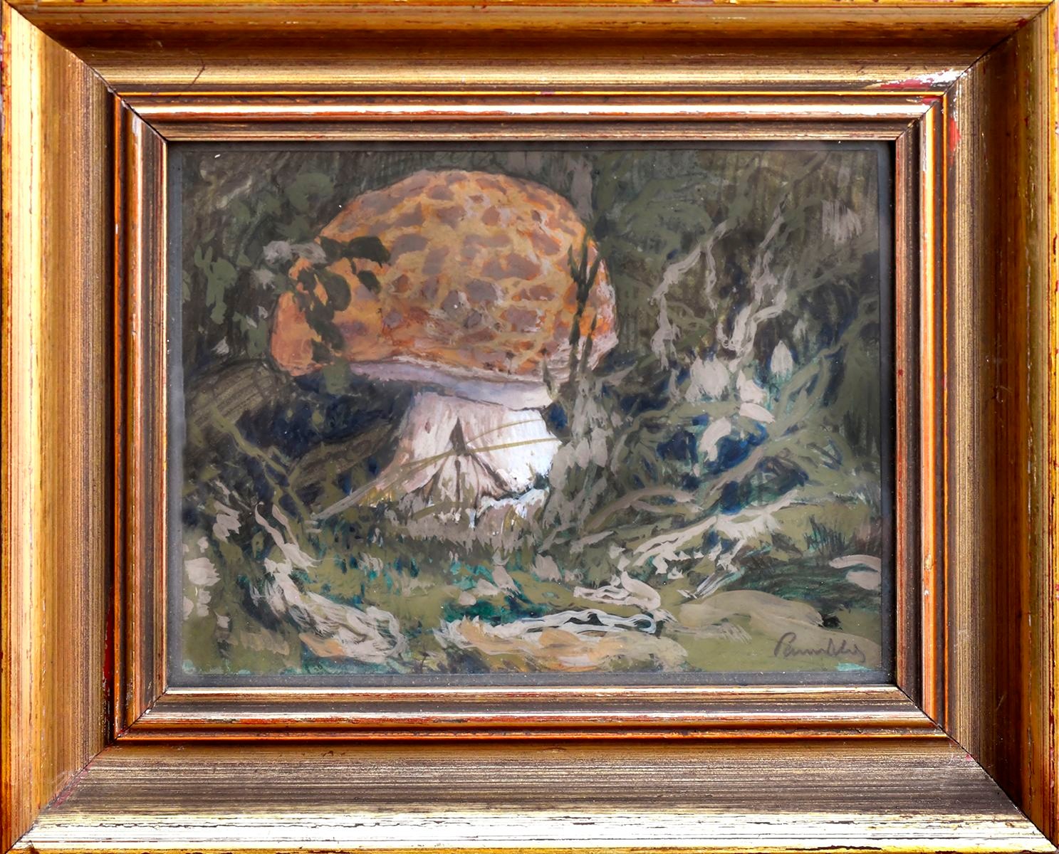 Panuška Jaroslav (1872-1958) - Muchomůrka růžovka