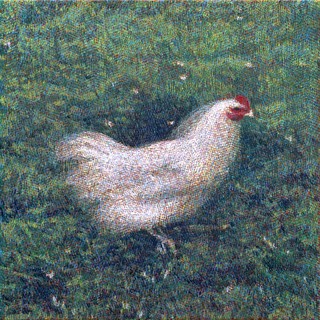 Tomáš Žemla (*1984) - STEREO GARDEN I