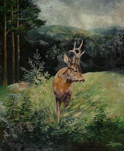 Autor neurčen - Srnec
