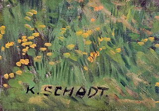 Karel Schadt