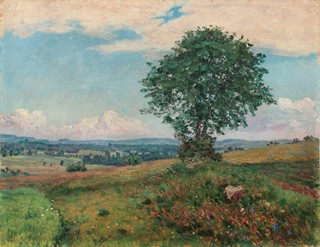 František Kaván