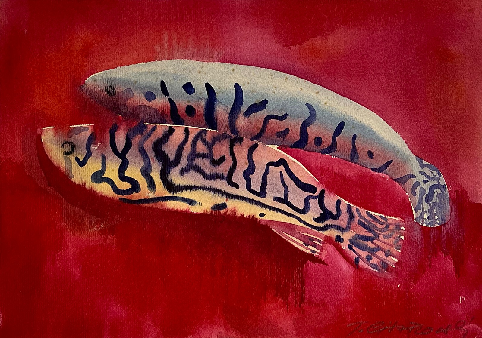 Císařovský Tomáš (* 1962) - Ryby
