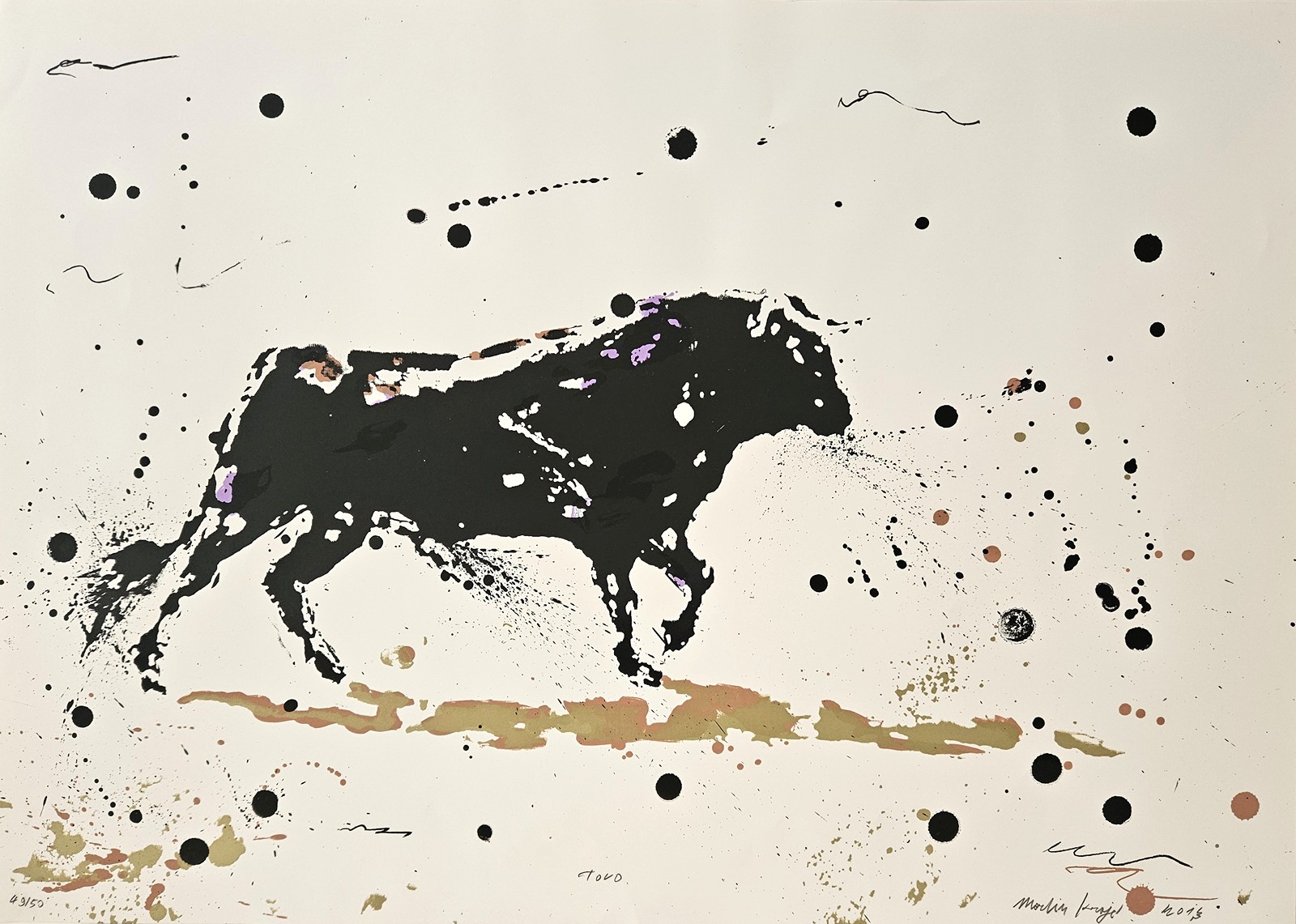 Krajc Martin - Toro, 2013