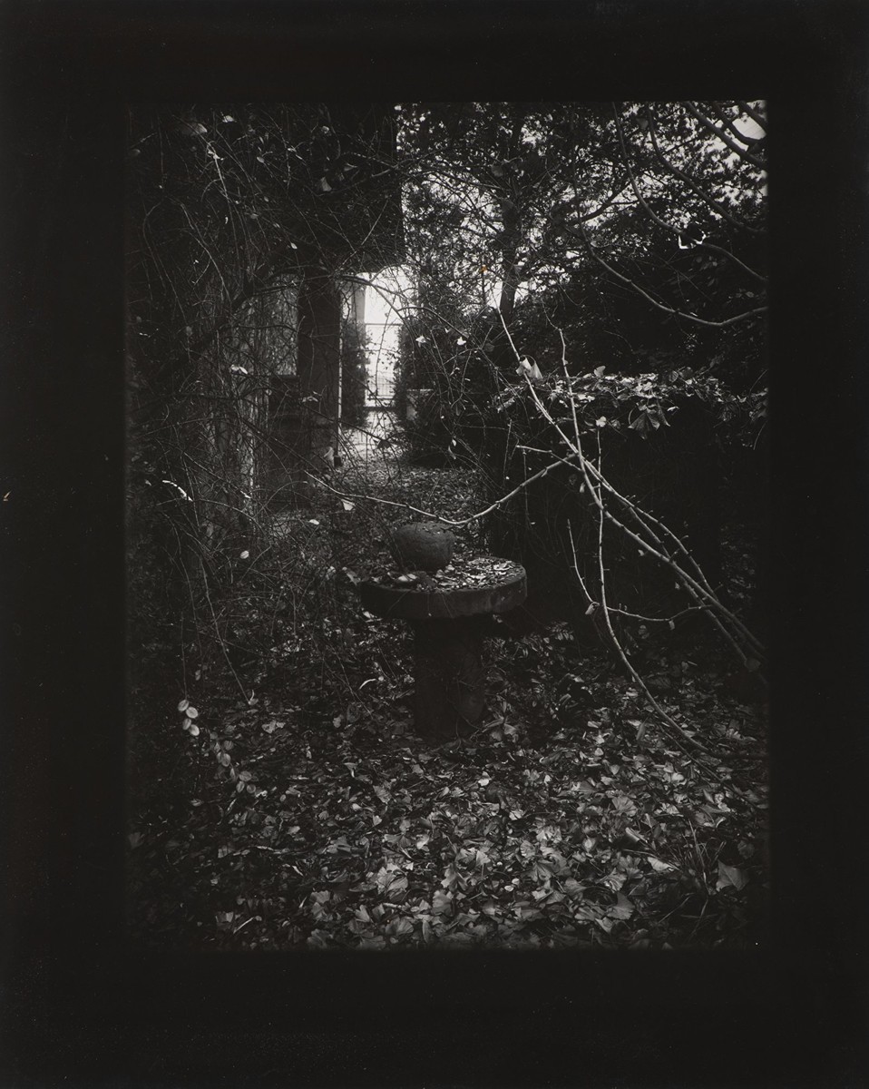 JOSEF SUDEK 1896 - 1976 - ROTHMAYEROVA ZAHRADA