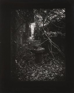 JOSEF SUDEK 1896 - 1976 - ROTHMAYEROVA ZAHRADA