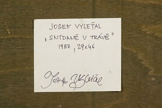 Josef Vyleťal (1940 - 1989) - SNÍDANĚ V TRÁVĚ