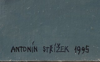 ANTONÍN STŘÍŽEK 1959 - ZÁTIŠÍ S KVĚTINAMI