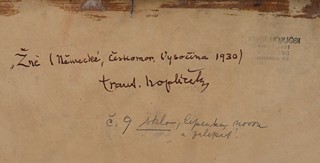 František Hoplíček (1890 -1946)
