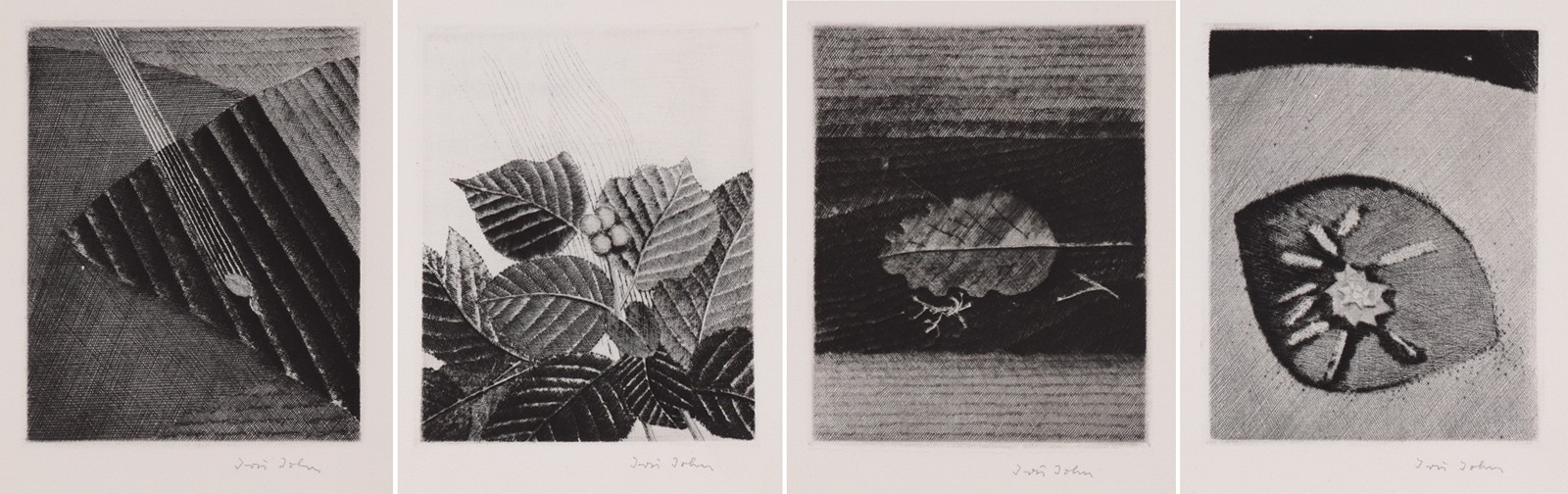 Jiří John (1923 - 1972) - Karel Toman Měsíce