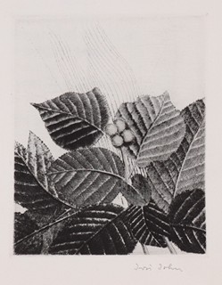 Jiří John (1923 - 1972) - Karel Toman Měsíce