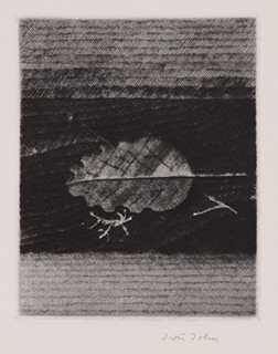 Jiří John (1923 - 1972) - Karel Toman Měsíce