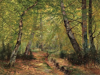 Václav Březina - Les