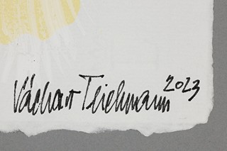 Václav Teichmann - Andy Warhol