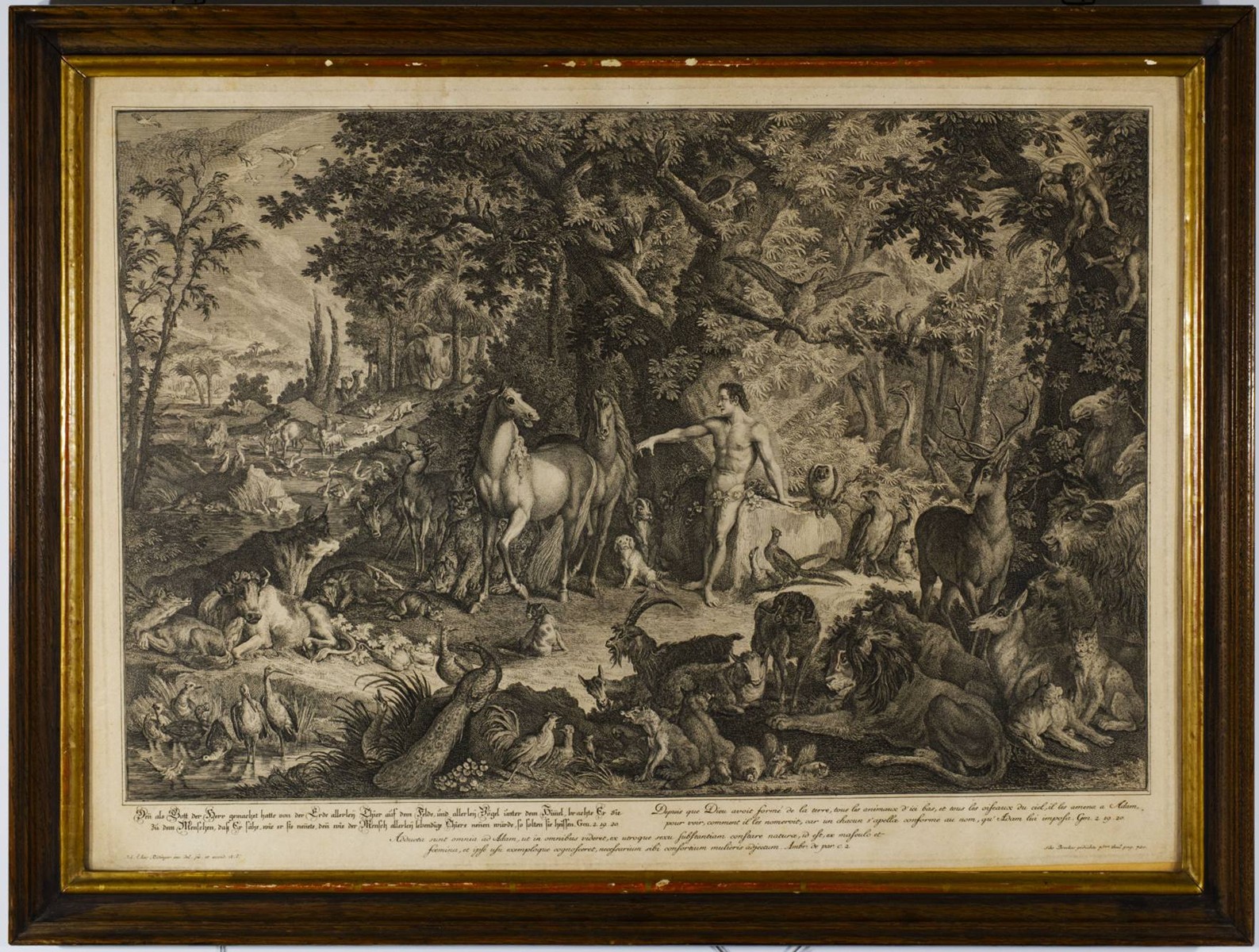 Johann Elias Ridinger (1698 - 1767) - `DEN ALS GOTT DER HERR GEMACHET HATTE ...SO SOLLTEN SIE HEISSEN.`