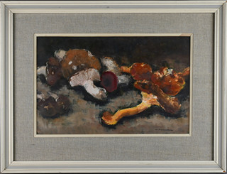 Josef Vondráček (1906-1983) - Houby