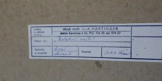 Ilja Hartinger (1935) - Poslední sníh