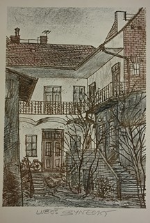 Luboš Synecký (1925) - Pavlačový dům