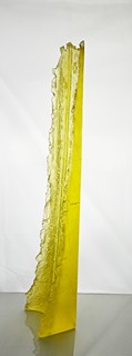 Jaroslav Wasserbauer (1962) - Žlutá plastika