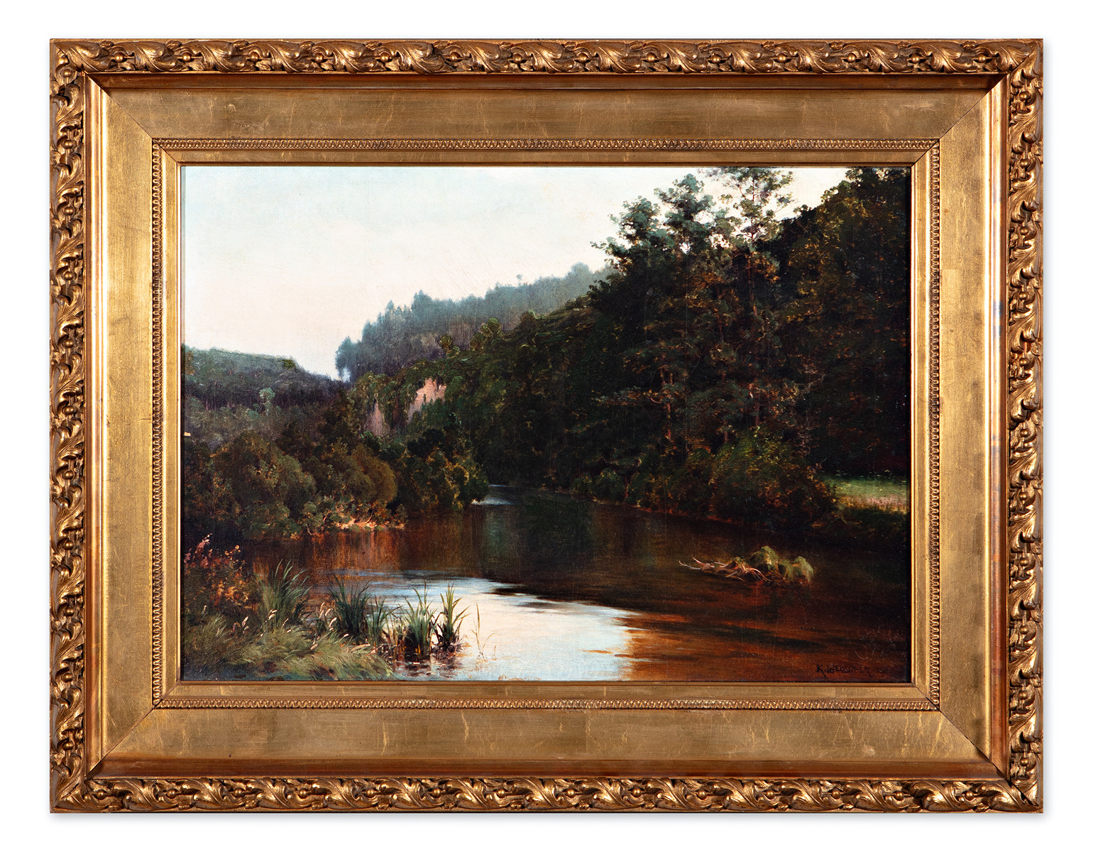 Forest lake