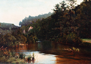 Forest lake