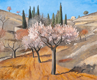 Blooming almond trees in Provence